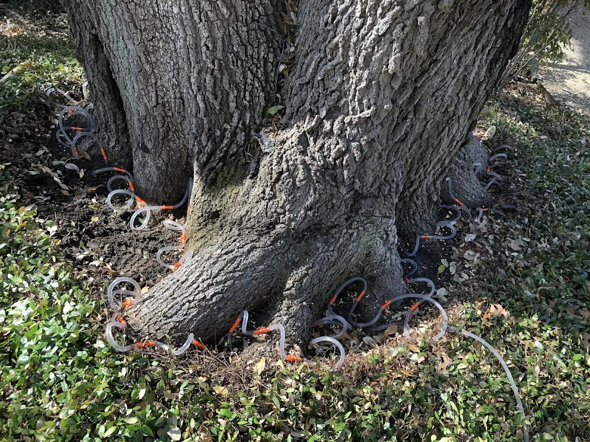 Detailed Shrub and Hedge Trimming job site in Mcleod